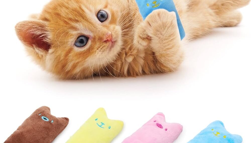 Top Picks for Safe Teething Toys for Kittens