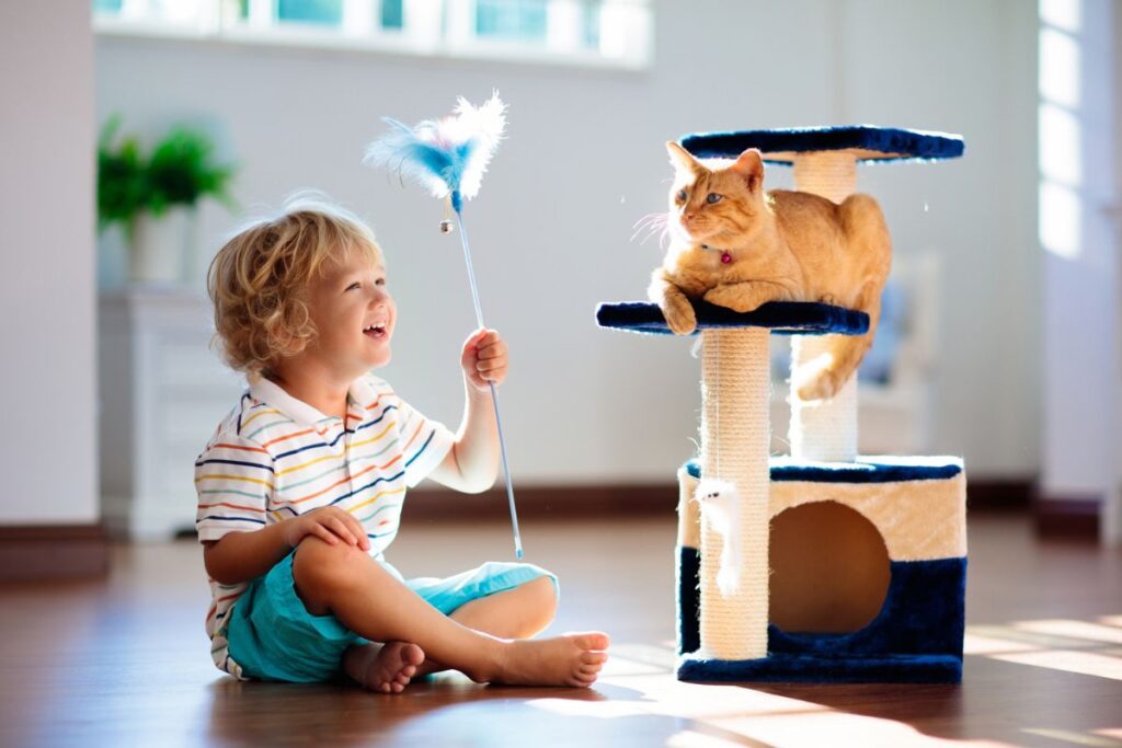 Tips for Socializing Kittens Through Play with Best Cat Toys