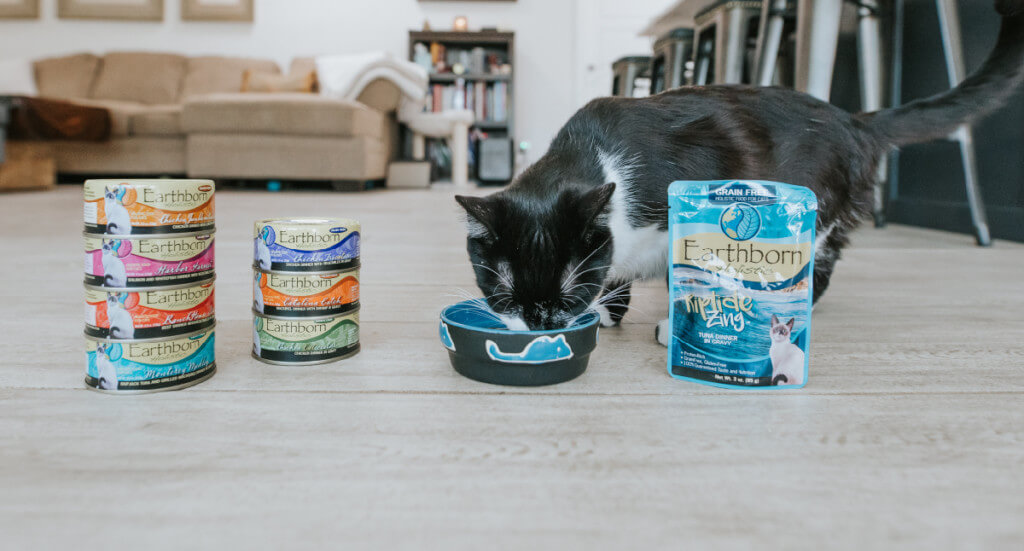 Nutritional Needs of Adolescent Cats with Best Cat Foods