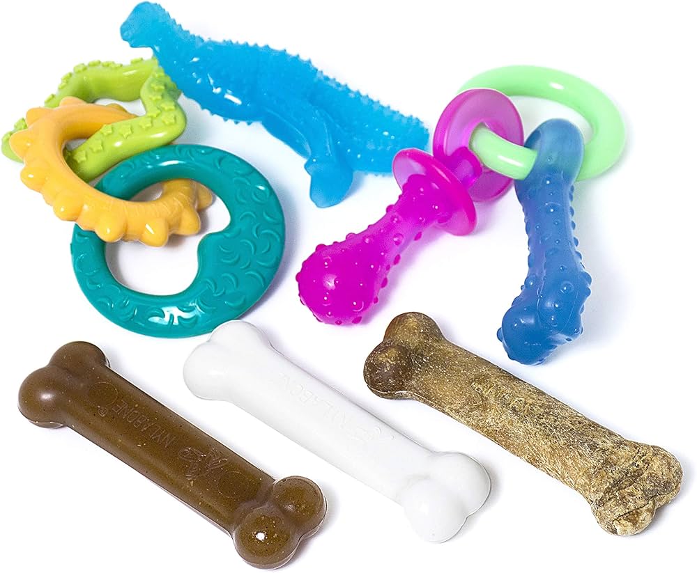 Top Characteristics of the Best Dog Toys for Teething