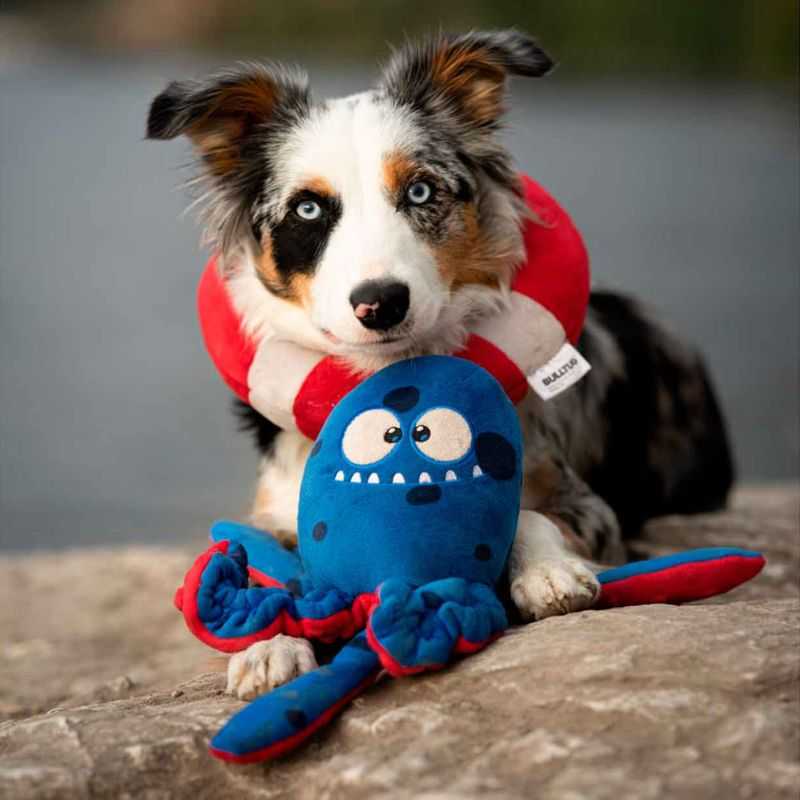 Best Dog Toys for Preventing Destructive Behavior