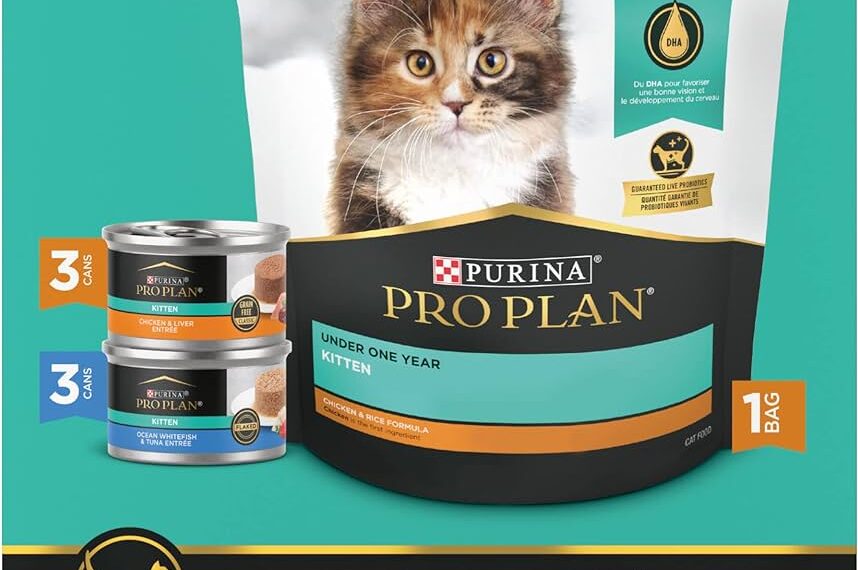 Top 5 Best Cat Foods for Growing Kittens