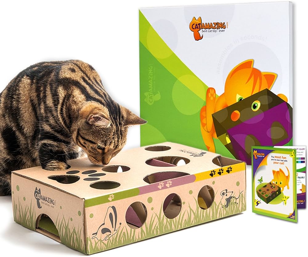 Types of Best Cat Toys for Adolescent Cats