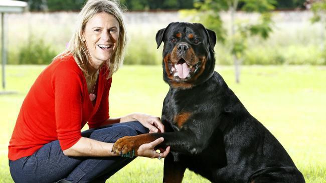 Essential Tips for Raising a Rottweiler