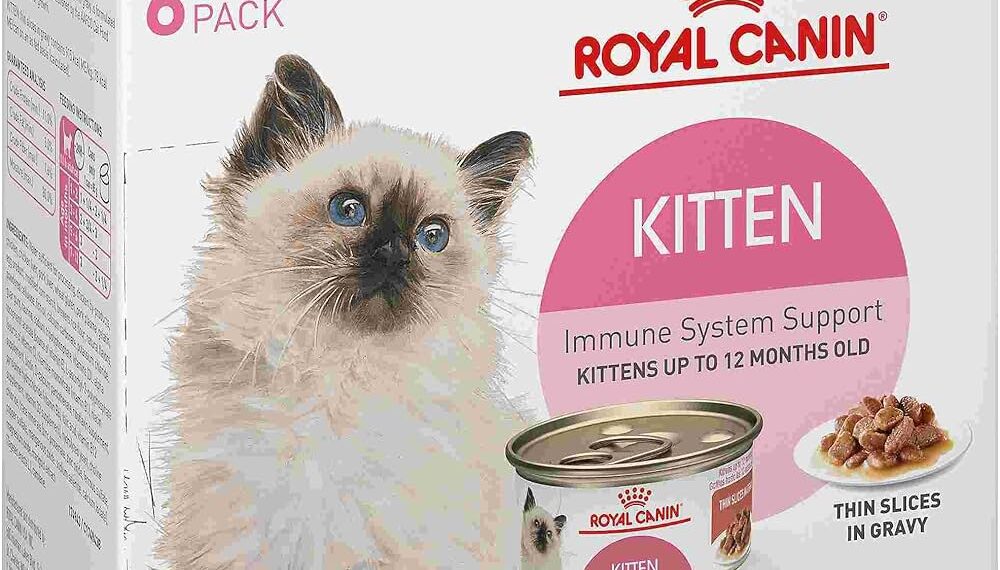 Top 5 Best Cat Foods for Growing Kittens