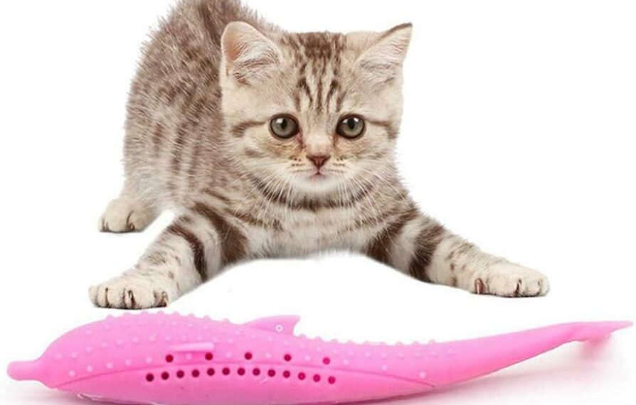 Top Picks for Safe Teething Toys for Kittens