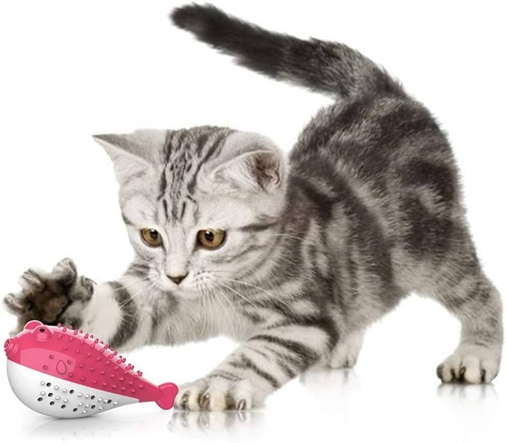 Top Picks for Safe Teething Toys for Kittens