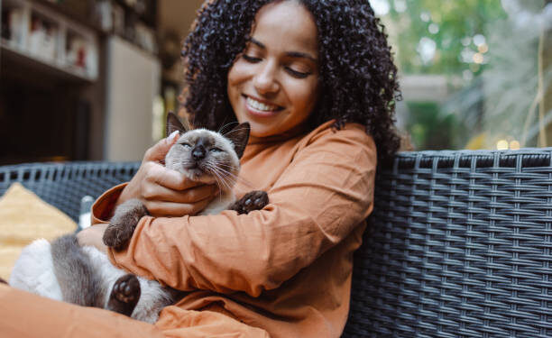 Positive Reinforcement for Best Cat Training Techniques