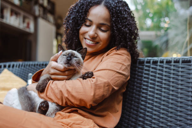 Positive Reinforcement for Best Cat Training Techniques