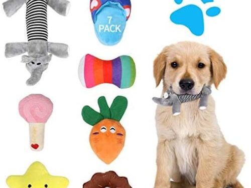 Top Picks for Soft and Plush Toys for Young Puppies