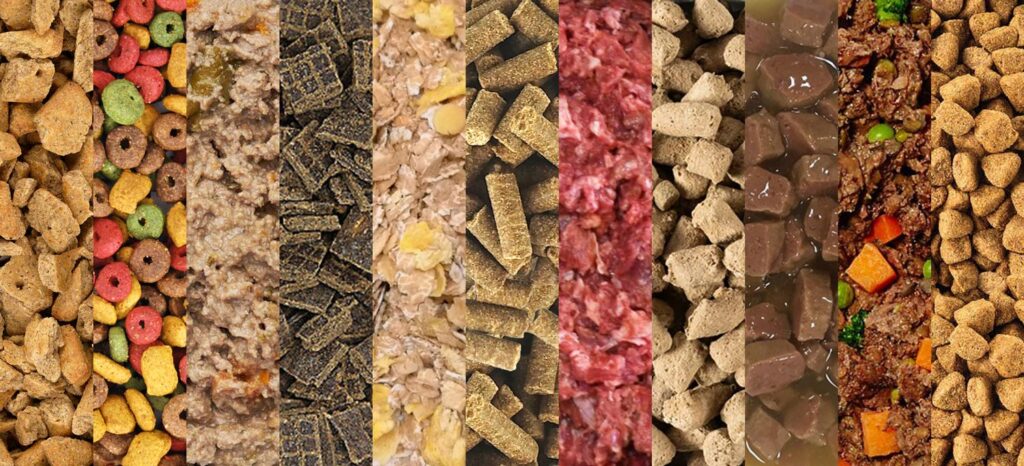 Best Dog Foods for Your Growing Puppy