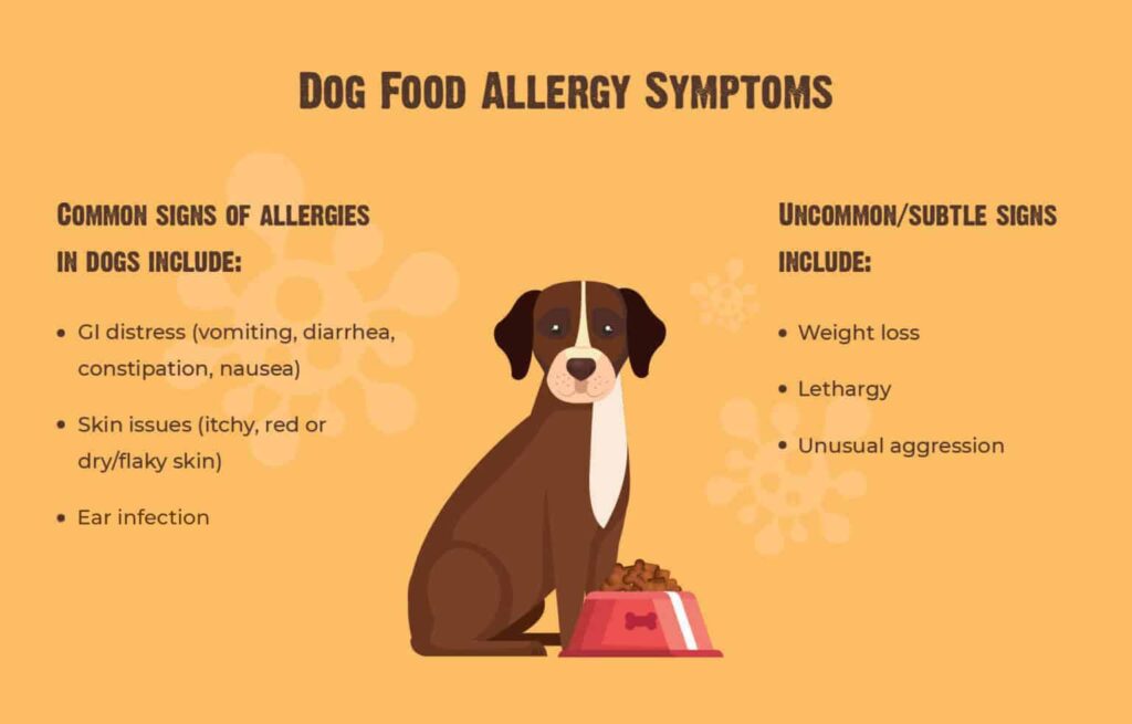 Dealing with Food Allergies in Dogs