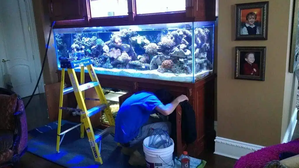 Accessible Aquarium Maintenance