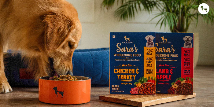 Key Features of Best Dog Foods for Summer