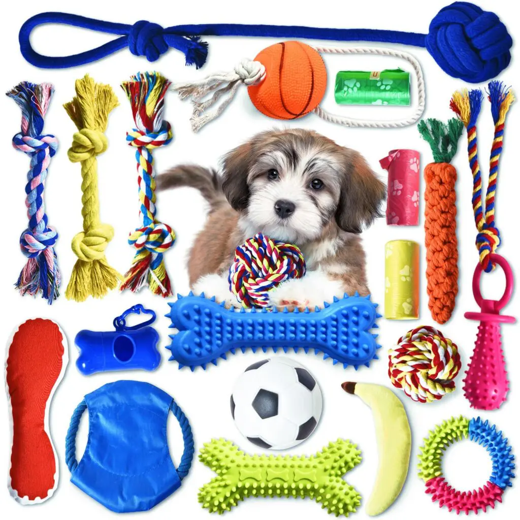 Transitioning Your Puppy to More Durable Toys