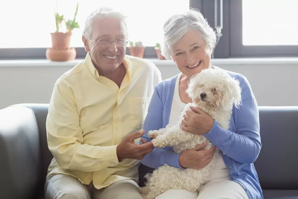 Choosing a Small Dog for Seniors1