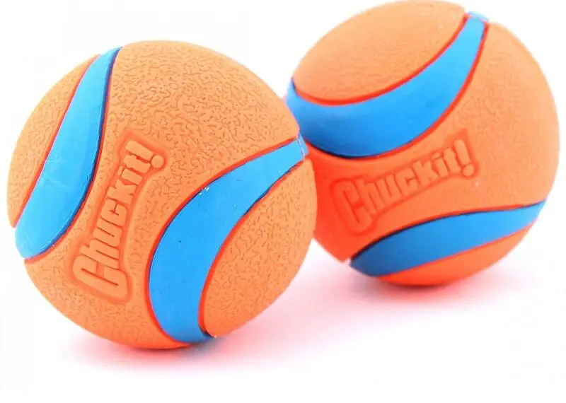 Top Picks for the Best Fetch Toys for Energetic Puppies