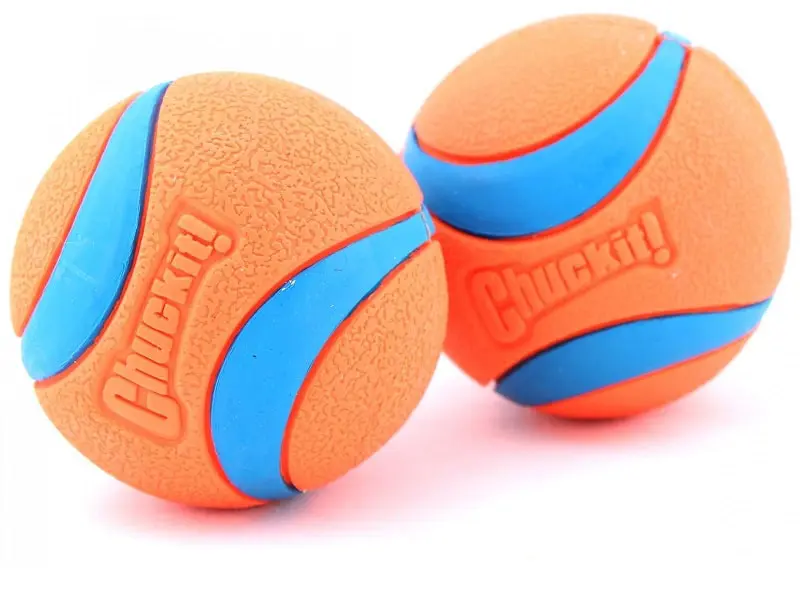 Top Picks for the Best Fetch Toys for Energetic Puppies