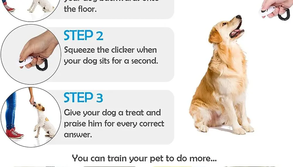 Getting Started with Clicker Training for Puppies