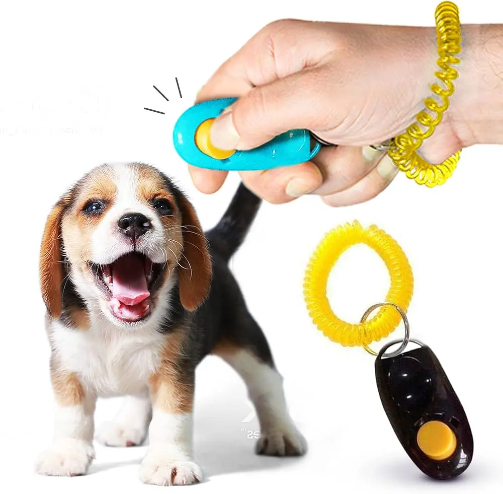 Getting Started with Clicker Training for Puppies