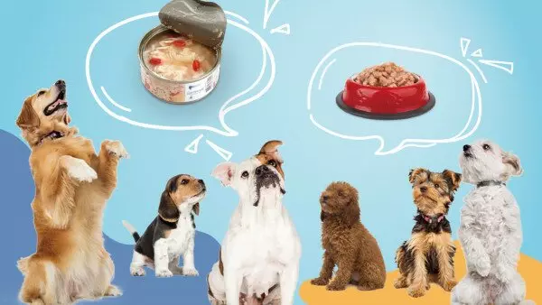 Commercial Dog Food