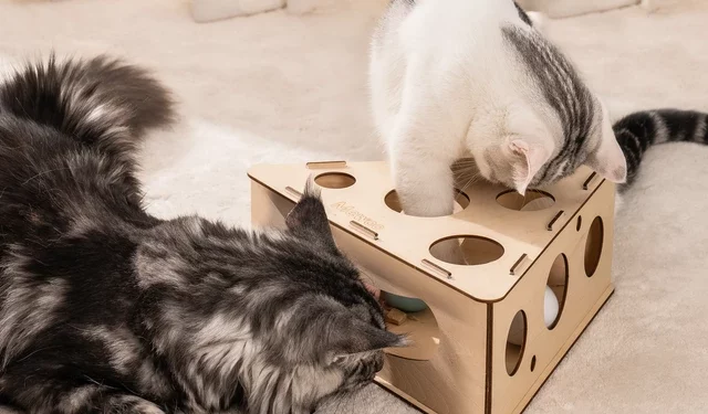 Best Cat Toys & Interactive Puzzle Toys for Growing Cats