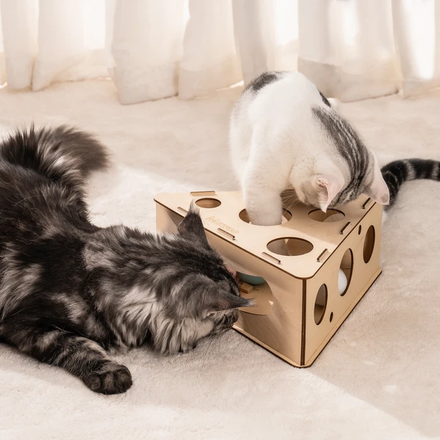 Best Cat Toys & Interactive Puzzle Toys for Growing Cats