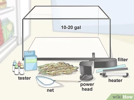 Essential Equipment for Aquarium