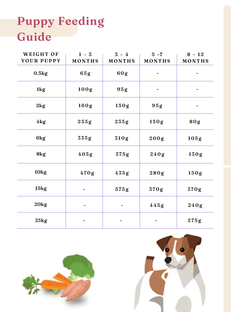 Best Dog Foods for Your Growing Puppy