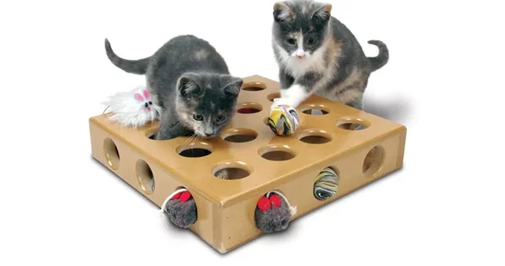 Best Cat Toys & Interactive Puzzle Toys for Growing Cats