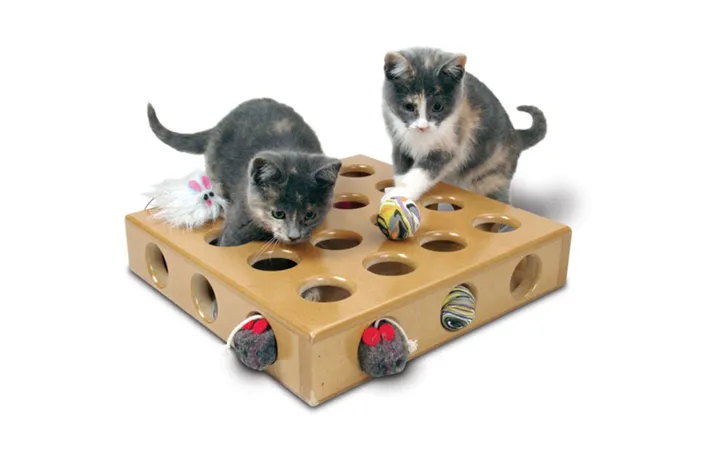 Best Cat Toys & Interactive Puzzle Toys for Growing Cats