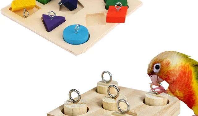 Interactive Puzzle Toys