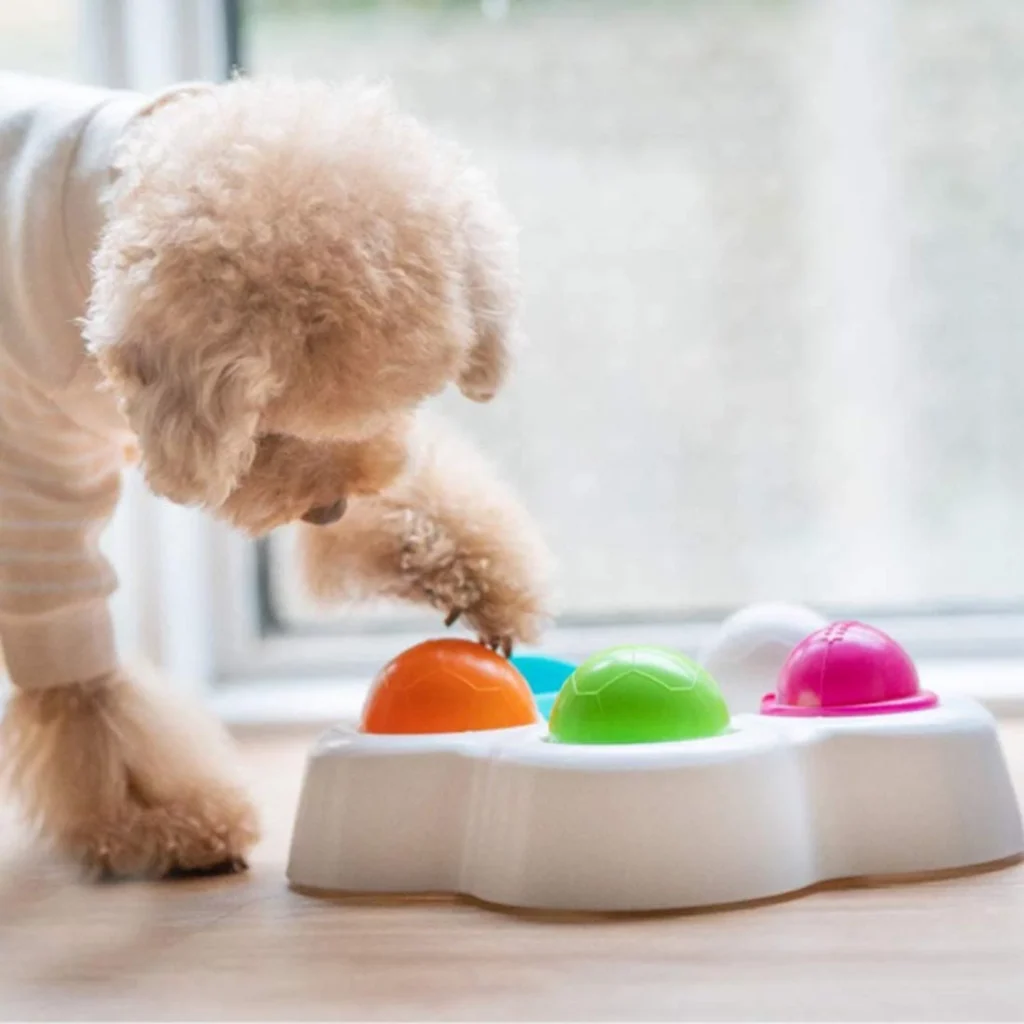 Interactive Toys for dogs