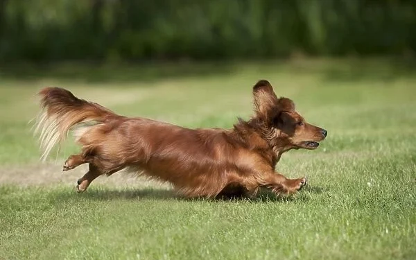 Limit Exercise During Peak Heat