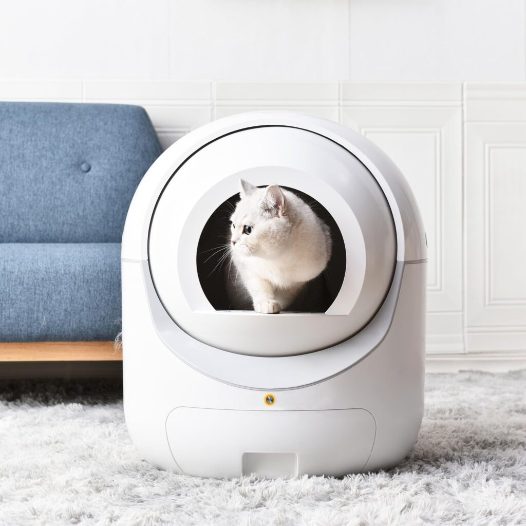 Litter and Accessories for cat training AI