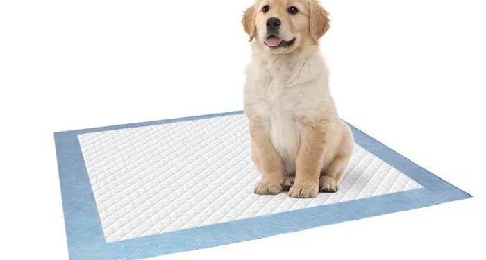 Puppy Pads and Cleaning Supplies