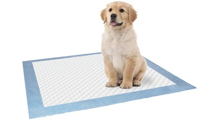 Puppy Pads and Cleaning Supplies