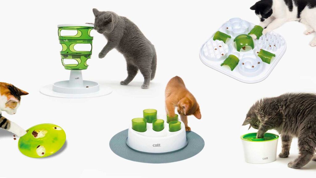 Choosing the Best Toys for Cats