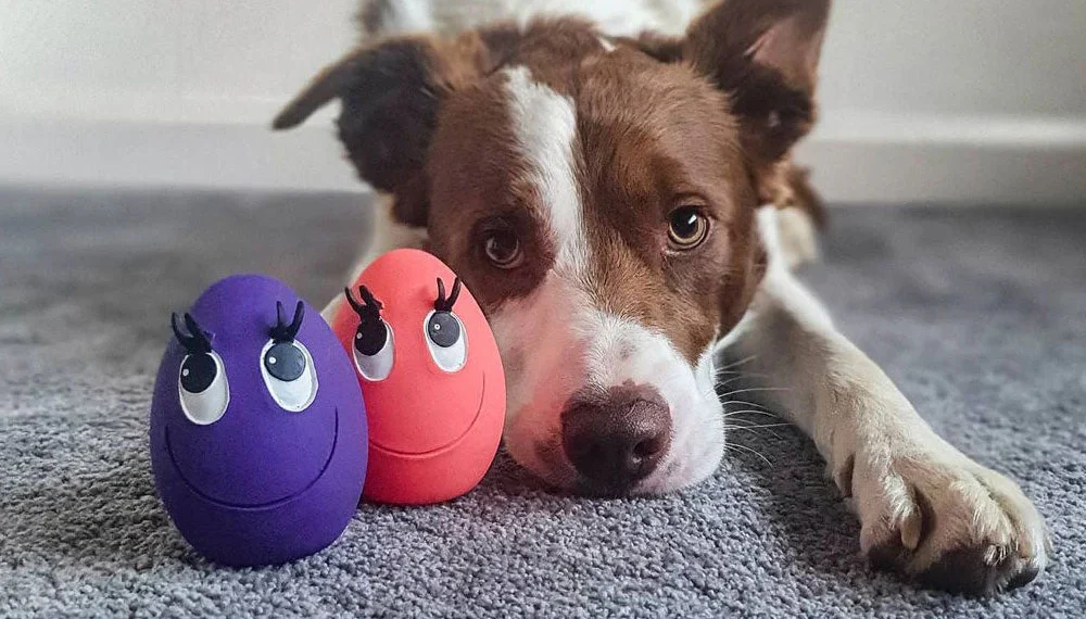 The Importance of Replacing Dog Toys