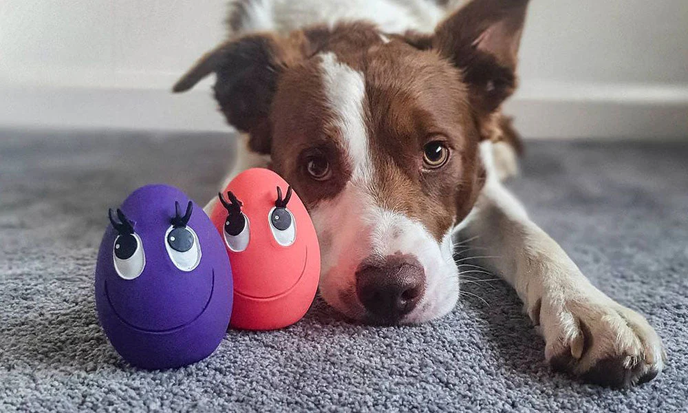 The Importance of Replacing Dog Toys