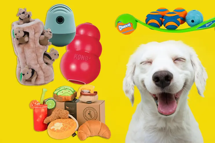 Top Safe Dog Toy Recommendations