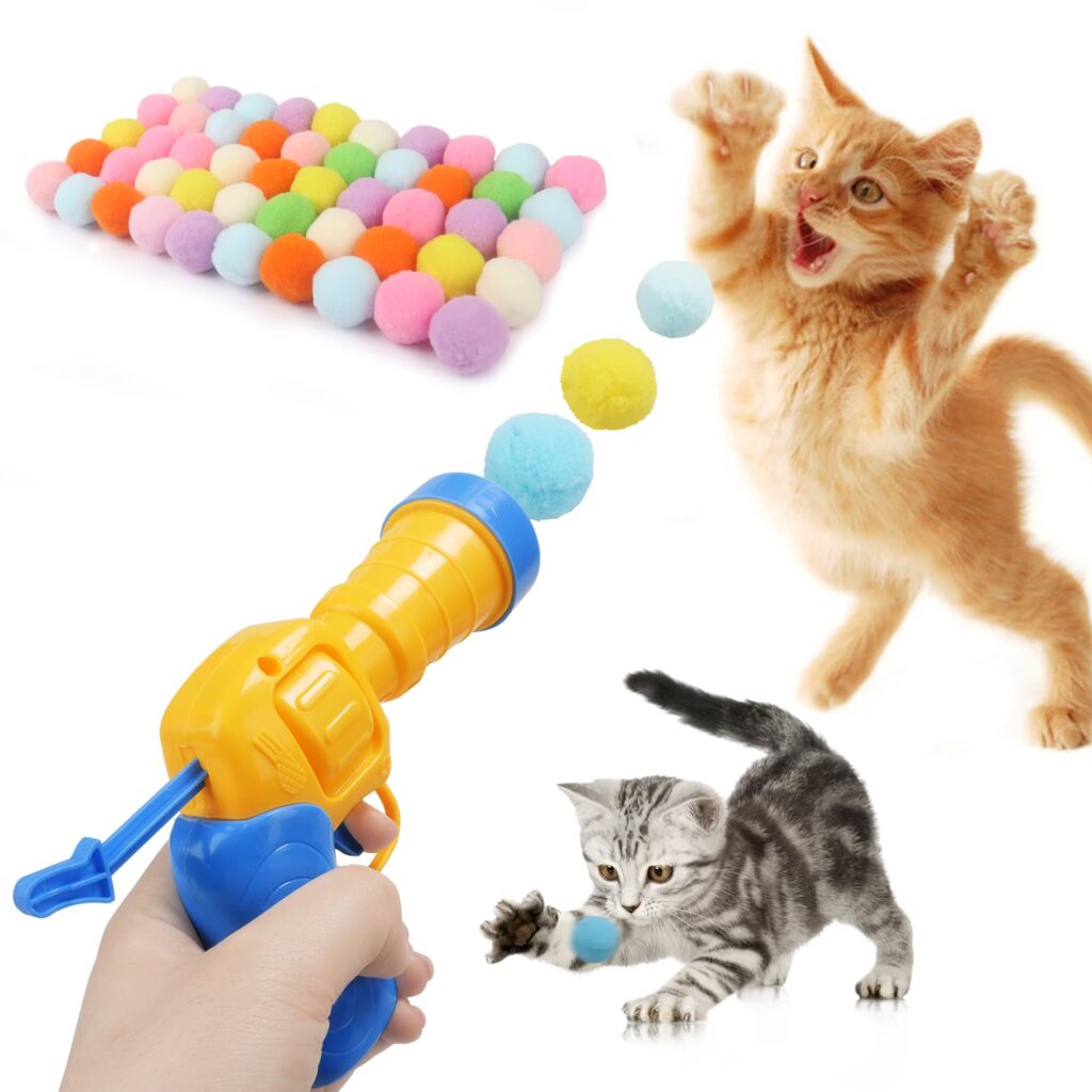 Toys and Enrichment for cat