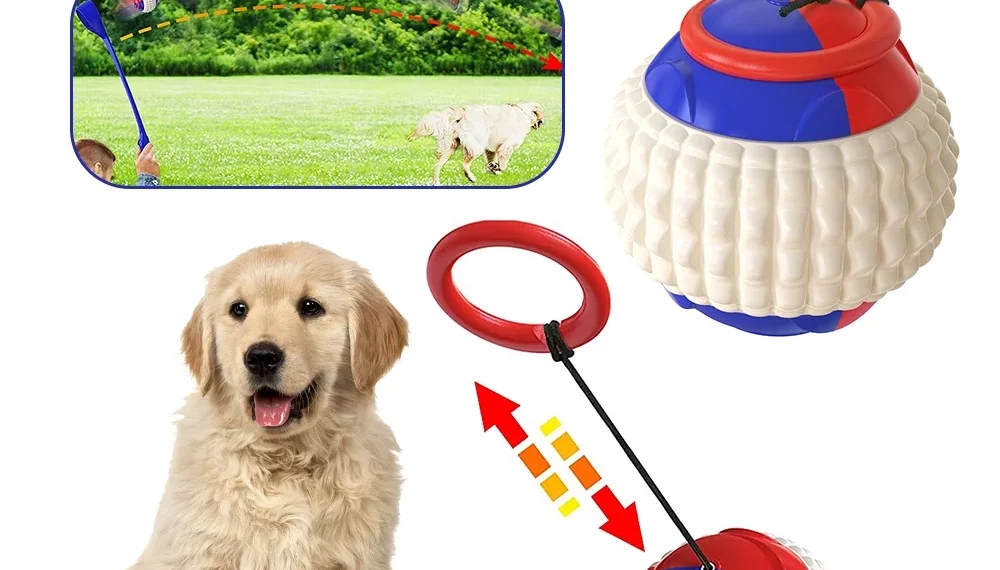 Why Choose Interactive Toys for Puppy Training?