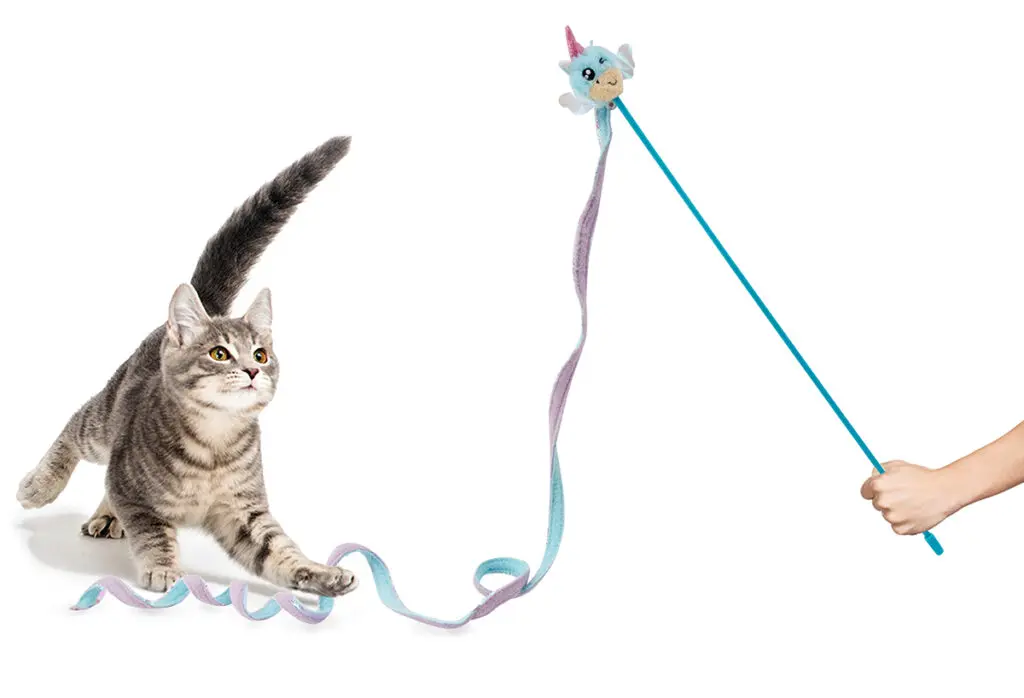 Using Toys to Curb Destructive Behavior in Young Cats