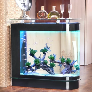 Water Quality for Feng Shui Fish Tanks3